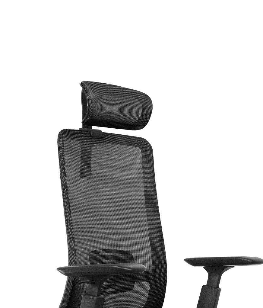 HD Galvas balsts VANE-Ergostock
