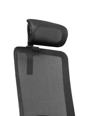 HD Galvas balsts VANE-Ergostock