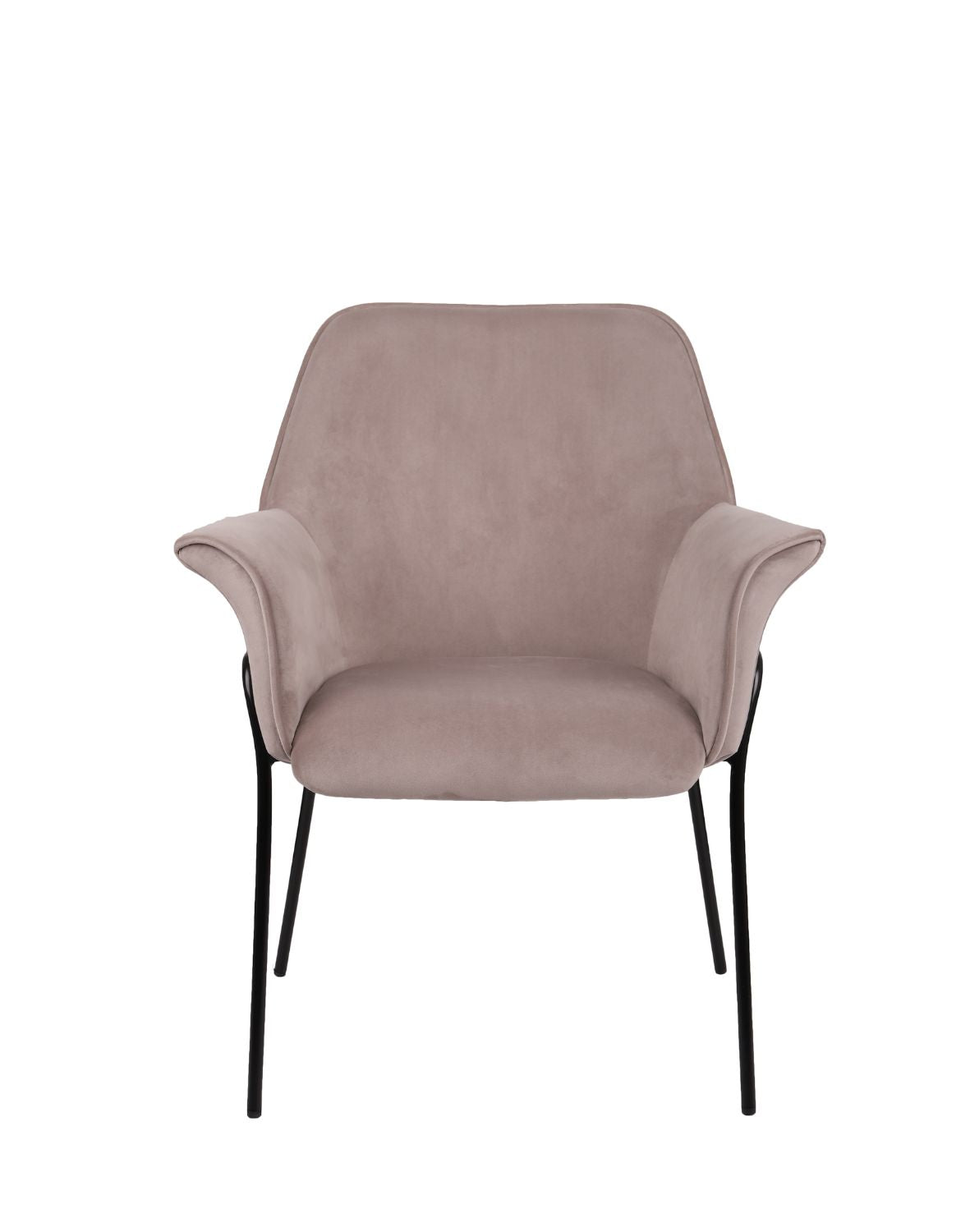 Krēsls Sofia Black - Ergostock.lv