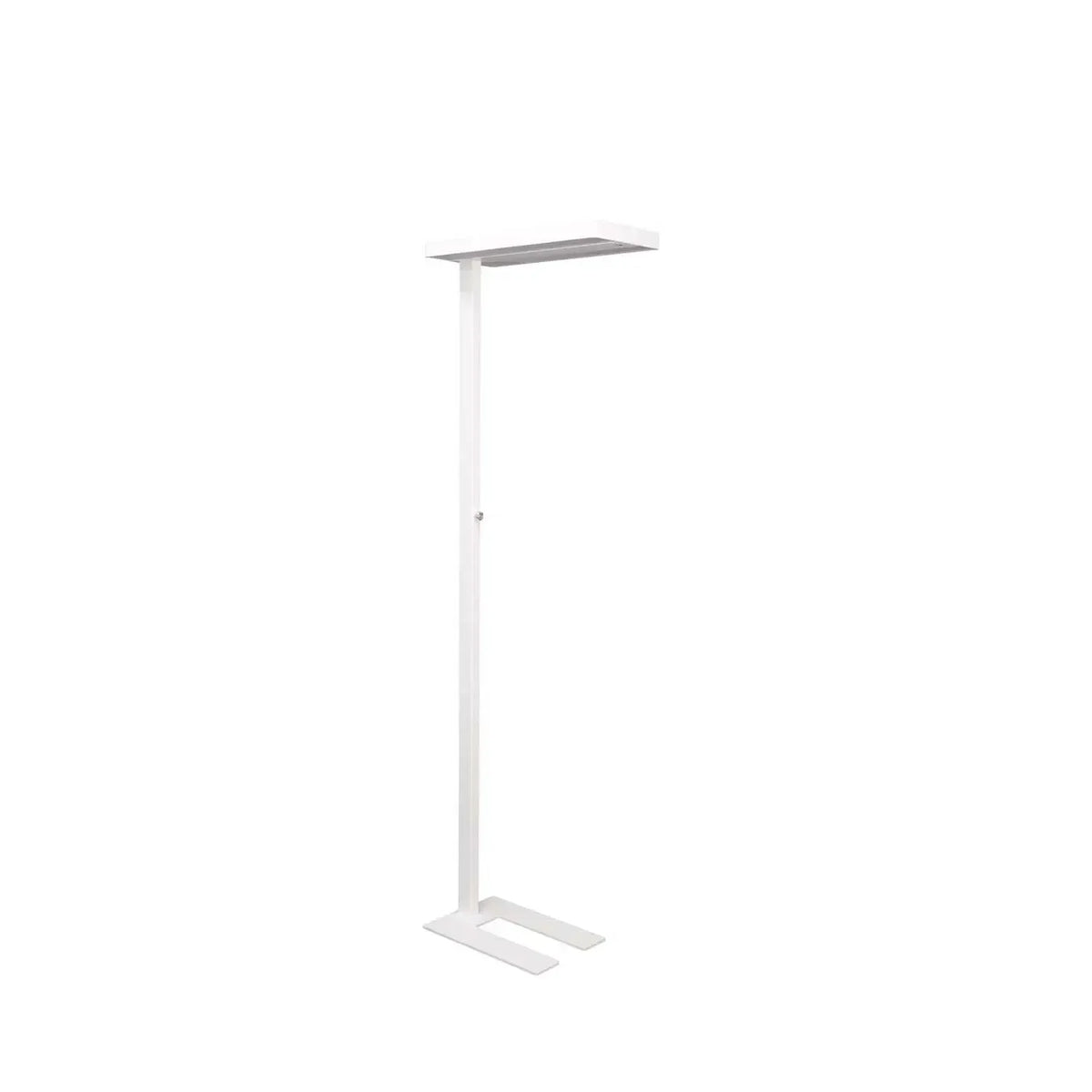 LED stāvlampa MAULjuvis – Balta