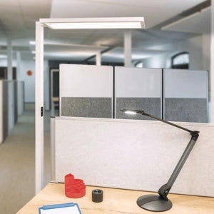 LED stāvlampa MAULsenja - Ergostock.lv