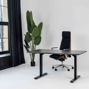 Manuāli augstumā regulējams galds Handle Line - Ergostock.lv