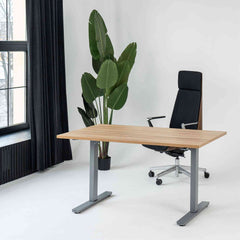 Manuāli augstumā regulējams galds Handle Line - Ergostock.lv