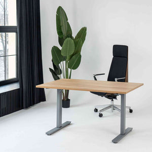 Manuāli augstumā regulējams galds Handle Line - Ergostock.lv