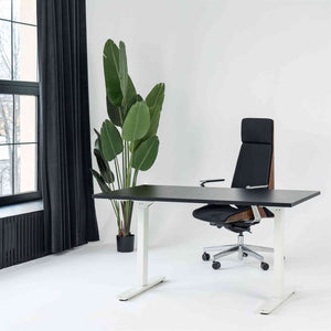 Manuāli augstumā regulējams galds Handle Line - Ergostock.lv