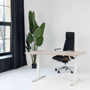 Manuāli augstumā regulējams galds Handle Line - Ergostock.lv