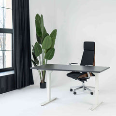 Manuāli augstumā regulējams galds Handle Line - Ergostock.lv