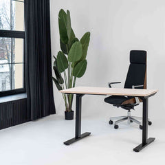 Manuāli augstumā regulējams galds Handle Line - Ergostock.lv