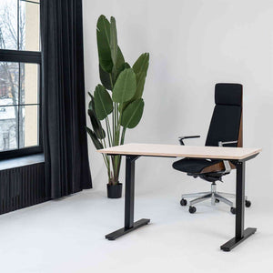 Manuāli augstumā regulējams galds Handle Line - Ergostock.lv