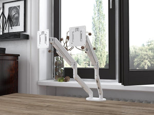 Monitora turētājs ar gāzes amortizatoru Pro Line Dual - Ergostock.lv