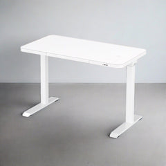 Elektriski augstumā regulējams multifunkcionāls galds Home Line-Ergostock